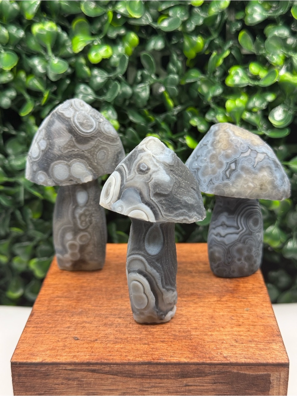 Natural Gobi Agate Mushroom Carving